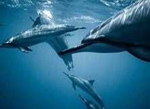 2026 世界杯举办地-WTA1000迈阿密 王欣瑜不敌麦克纳莉无缘32强